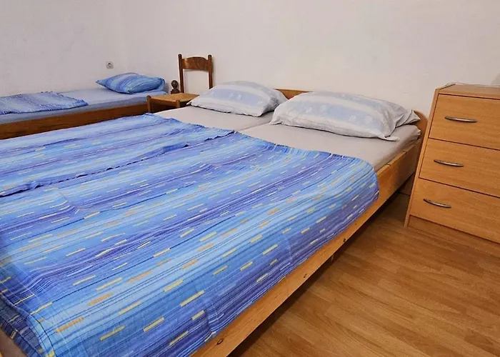 Varga Ap1 Драге